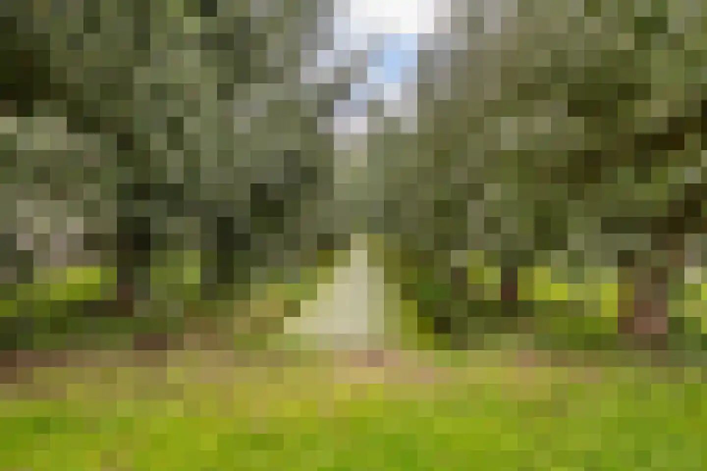 Oost en Vecht 24 Nigtevecht thumbnail 39