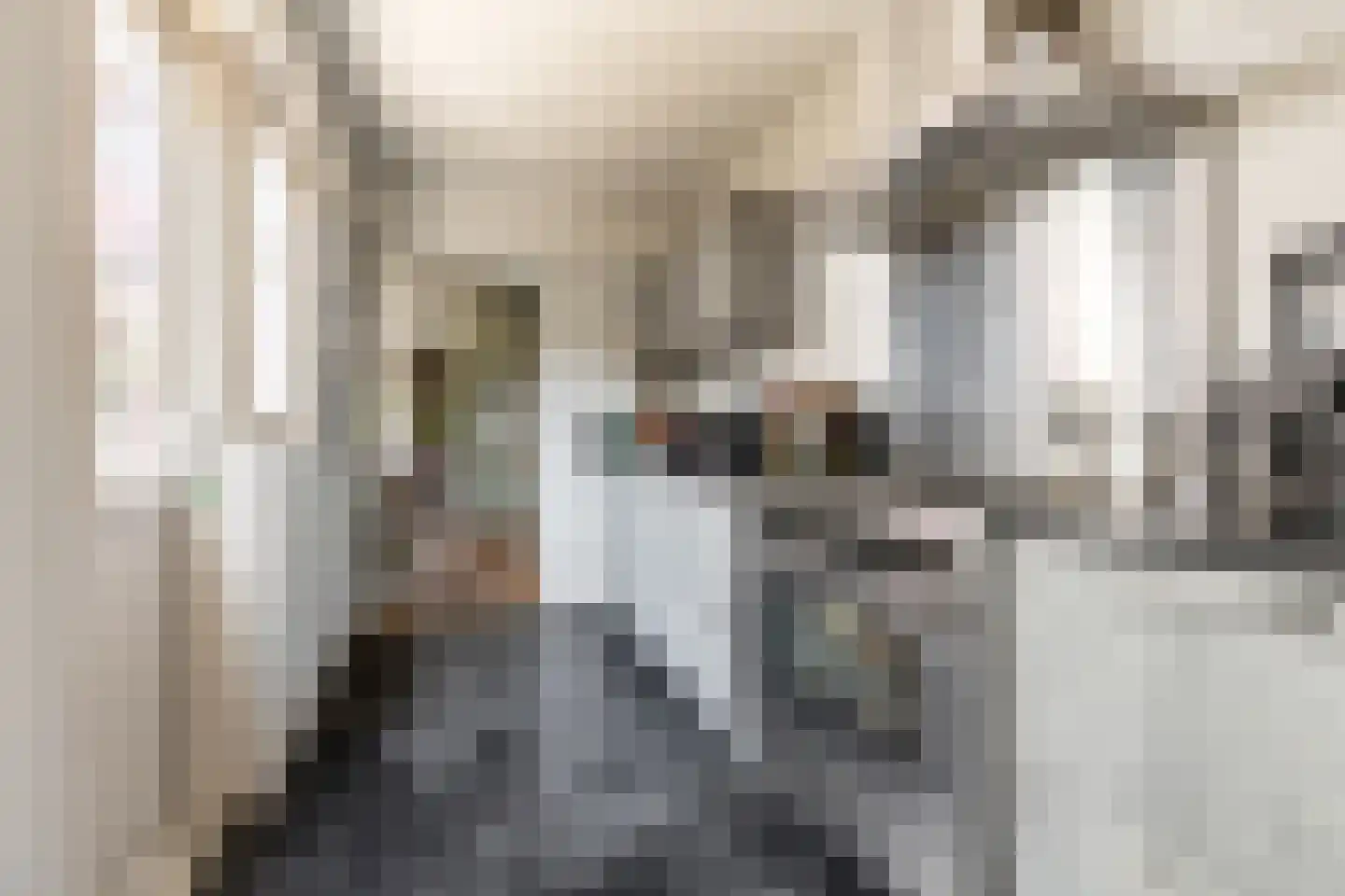 Oost Indiëstraat 82 Haarlem thumbnail 5