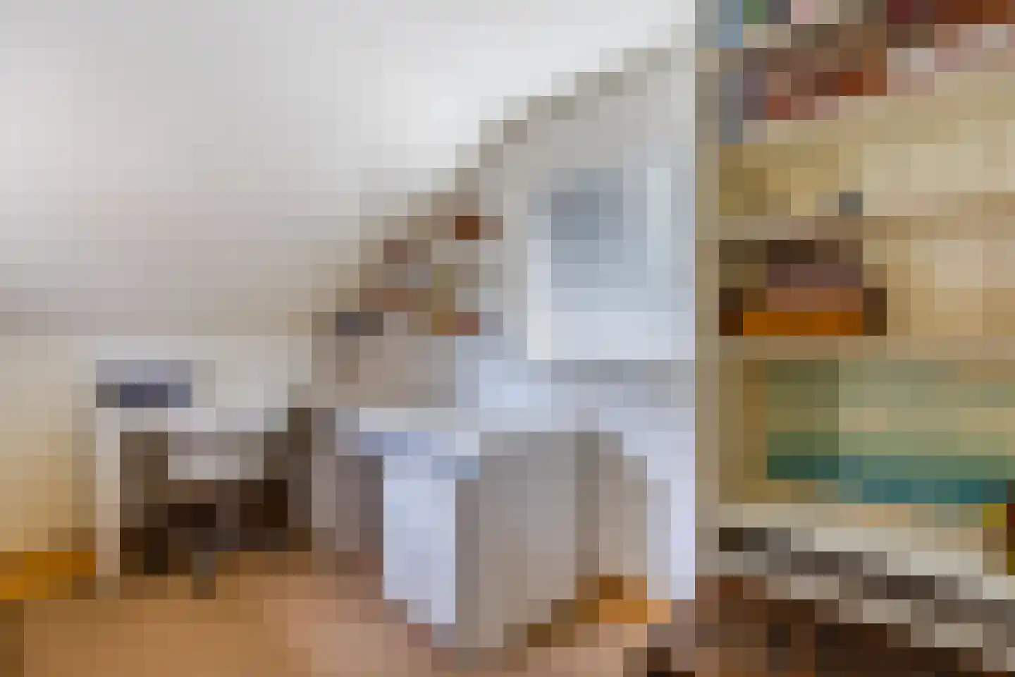 Oost-Indischekade 21 B Wormerveer thumbnail 28