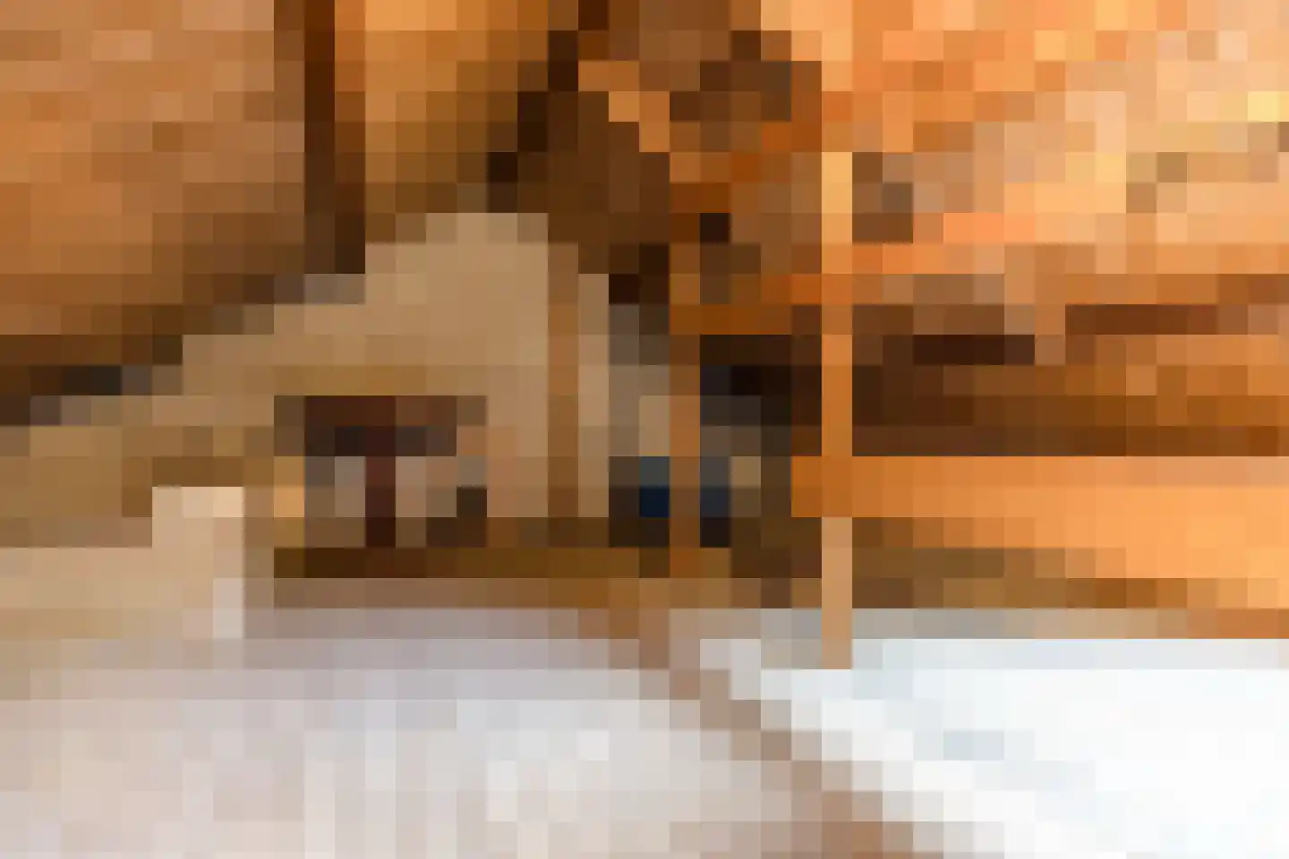 Oost-Indischekade 21 B Wormerveer thumbnail 33