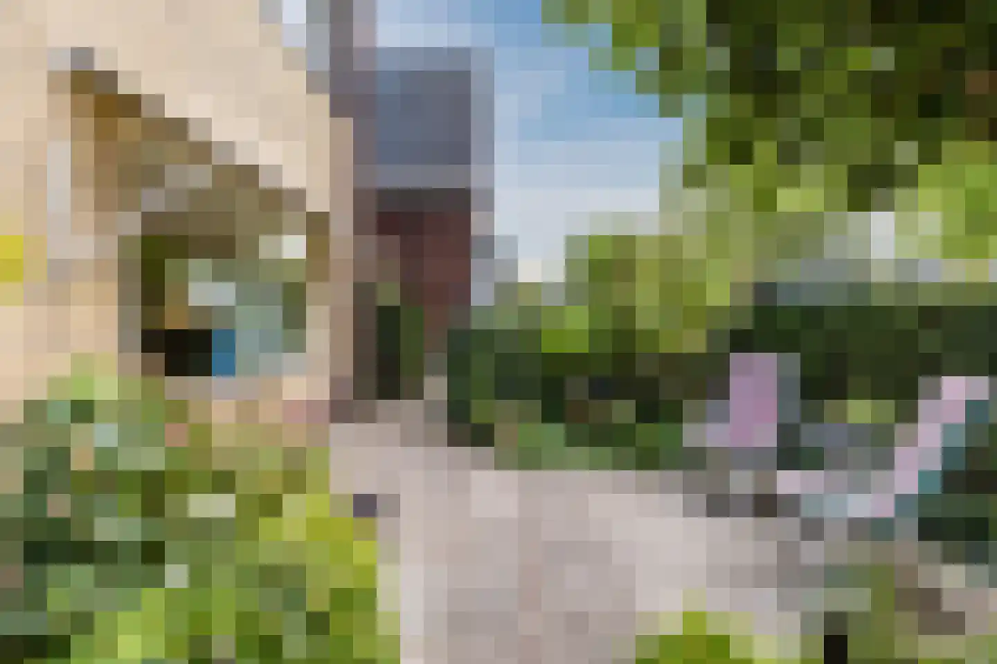 Oost-Indischekade 21 B Wormerveer thumbnail 41