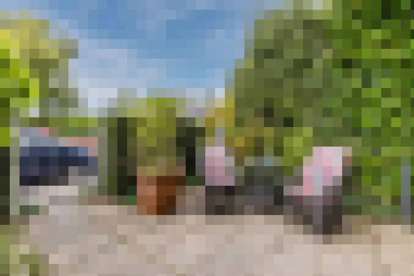Oost-Indischekade 21 B Wormerveer thumbnail 47