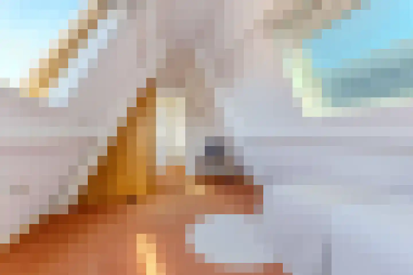 Oost-Indischekade 25 Wormerveer thumbnail 30