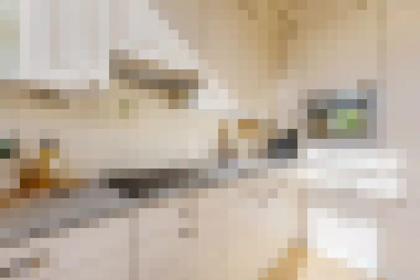 Oost-Indischekade 25 Wormerveer thumbnail 8