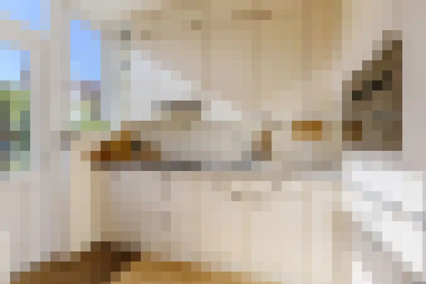 Oost-Indischekade 25 Wormerveer thumbnail 9