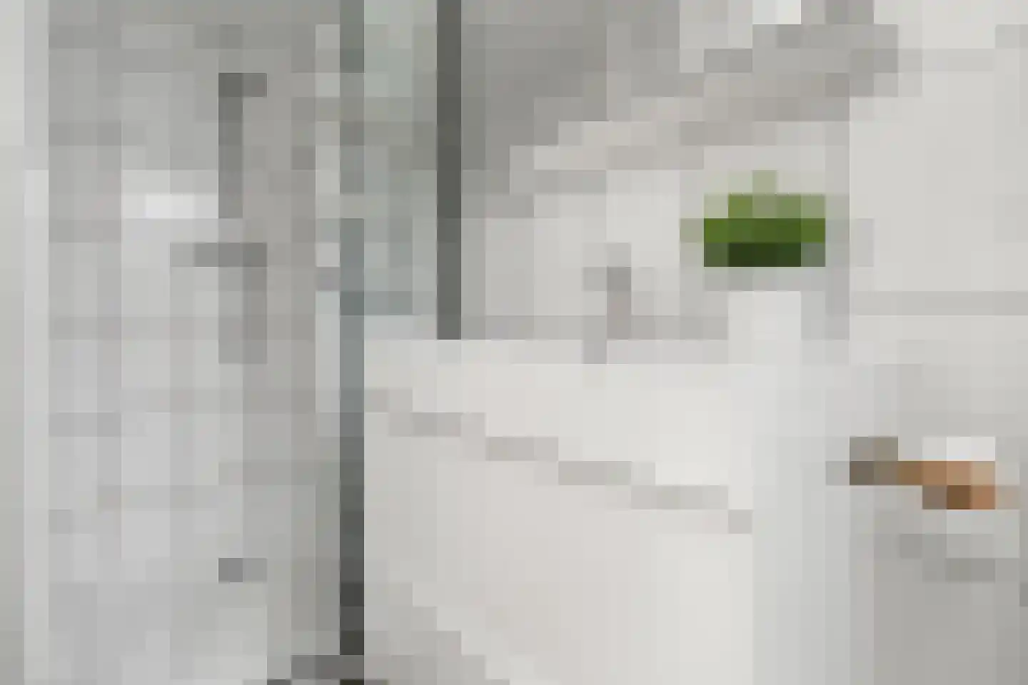 Oost-Indischekade 4 Wormerveer thumbnail 17