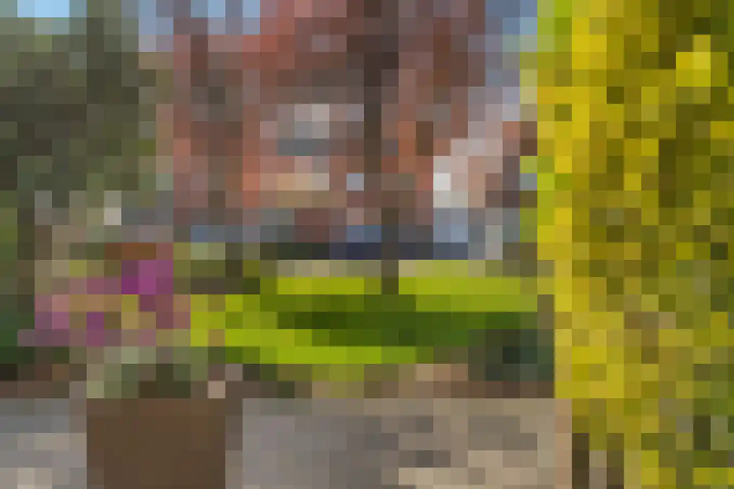 Oost-Indischekade 4 Wormerveer thumbnail 23