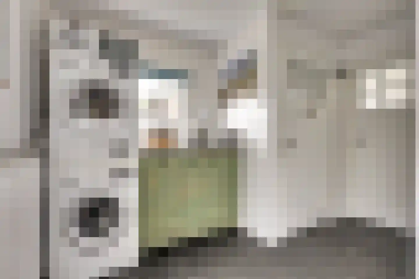 Oost-Kerkstraat 8 Colijnsplaat thumbnail 20