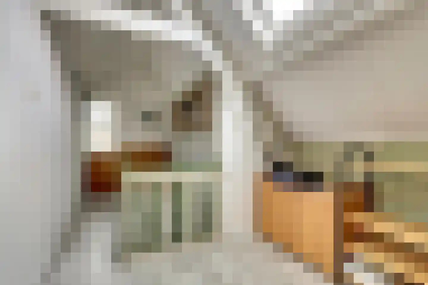 Oost-Kerkstraat 8 Colijnsplaat thumbnail 27