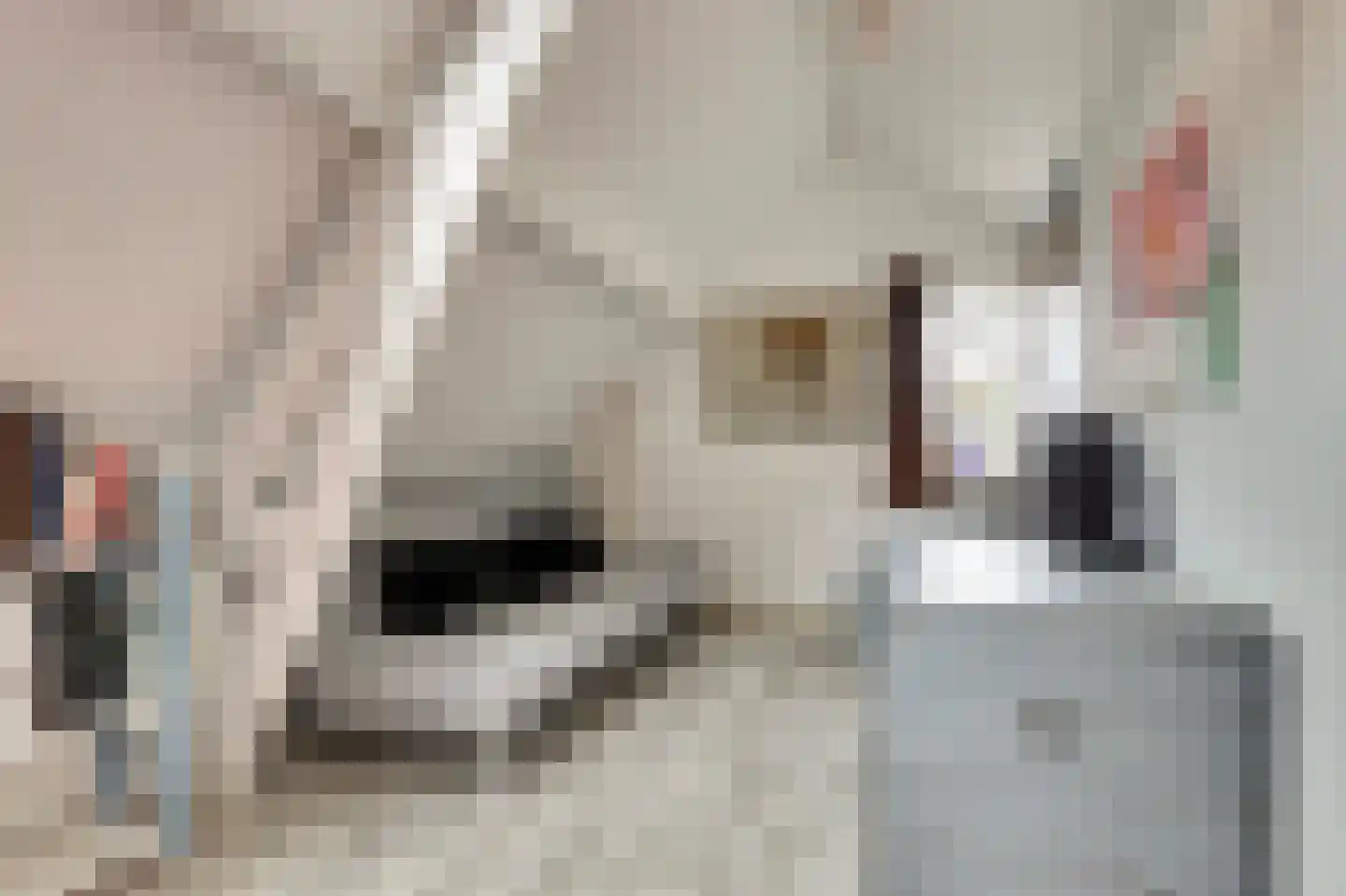 Oost-Kerkstraat 8 Colijnsplaat thumbnail 33