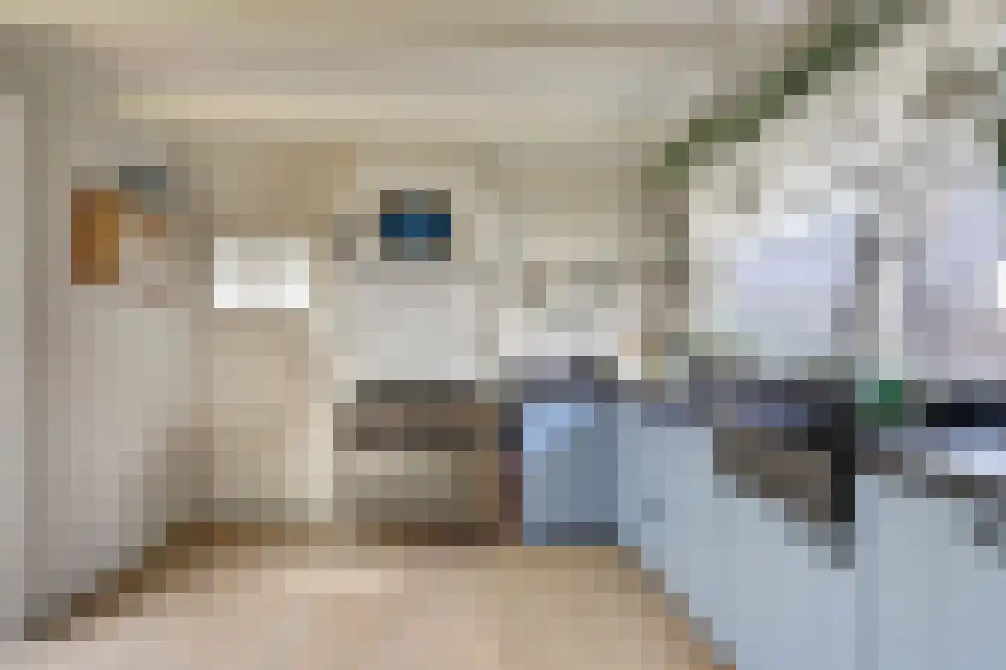 Oost-Kerkstraat 8 Colijnsplaat thumbnail 4