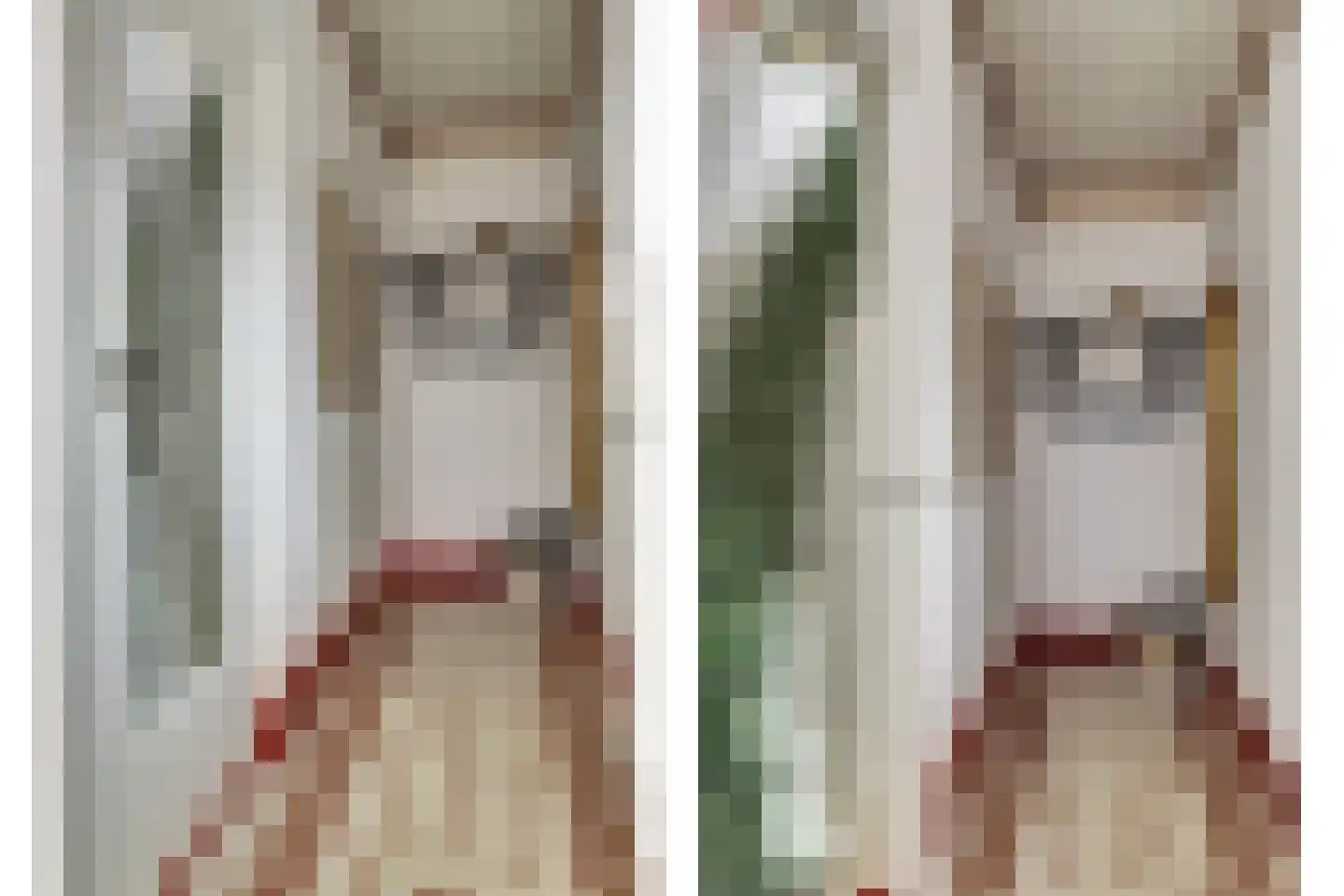 Oost-Kerkstraat 8 Colijnsplaat thumbnail 5