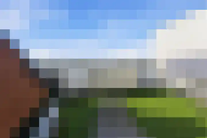Oost Kinderdijk 233 Alblasserdam thumbnail 44