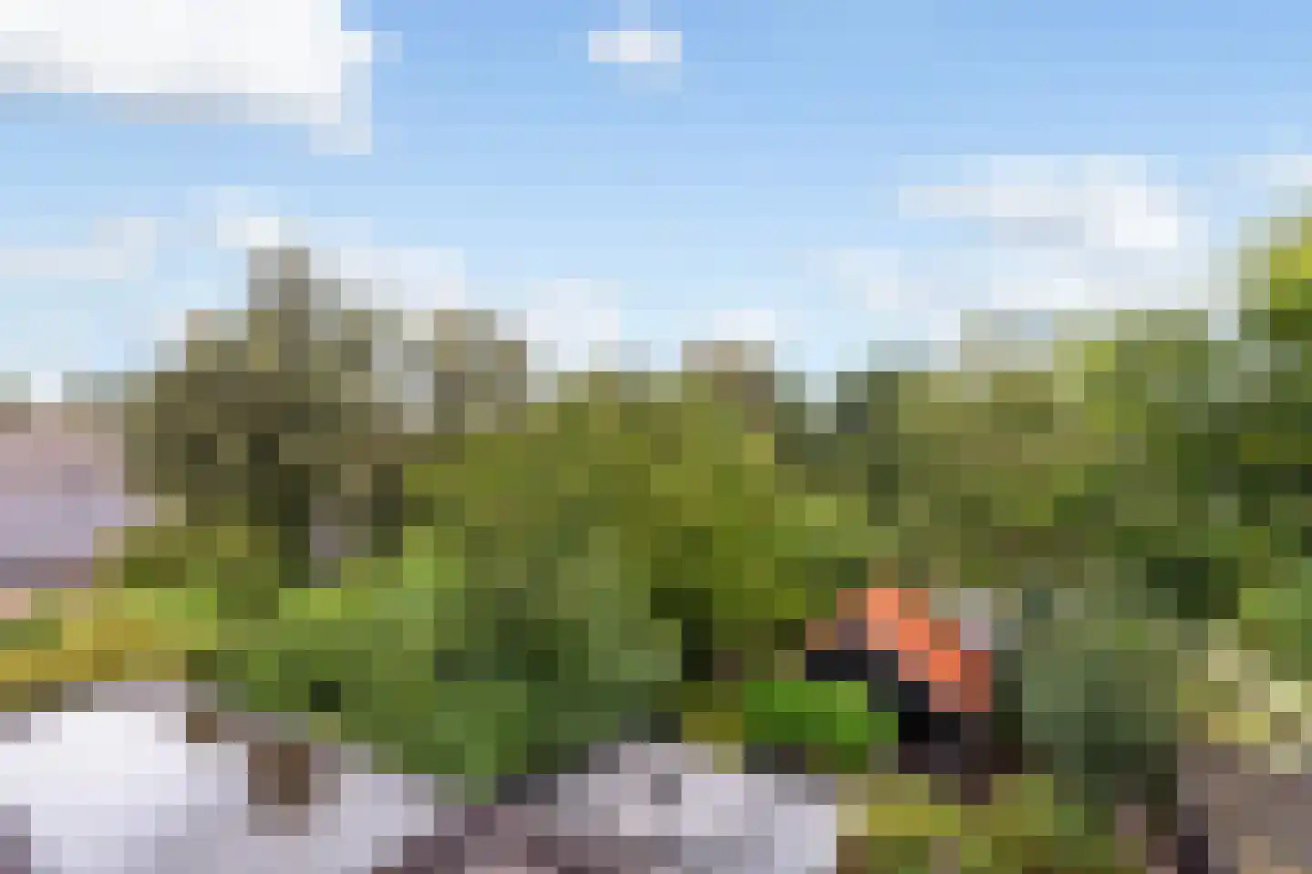 Oost Kinderdijk 295 Alblasserdam thumbnail 29