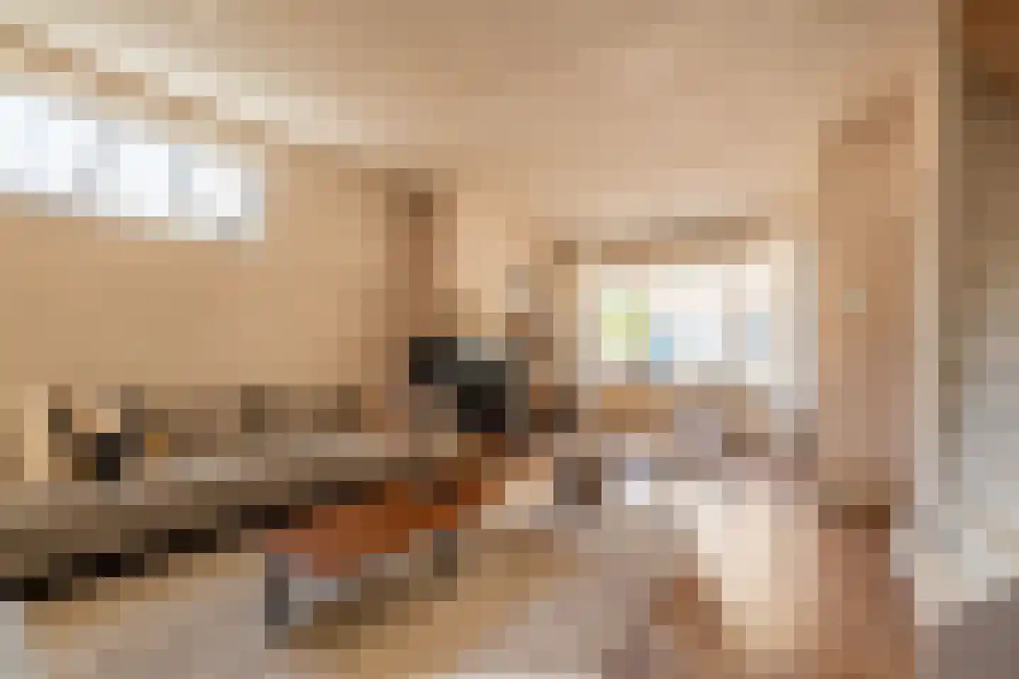 Oost-Krakeelstraat 12 Sommelsdijk thumbnail 8