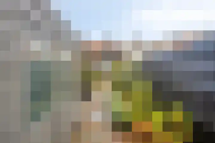 Oost-Krakeelstraat 4 Sommelsdijk thumbnail 27