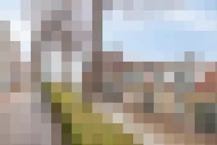 Oost-Krakeelstraat 4 Sommelsdijk thumbnail 29