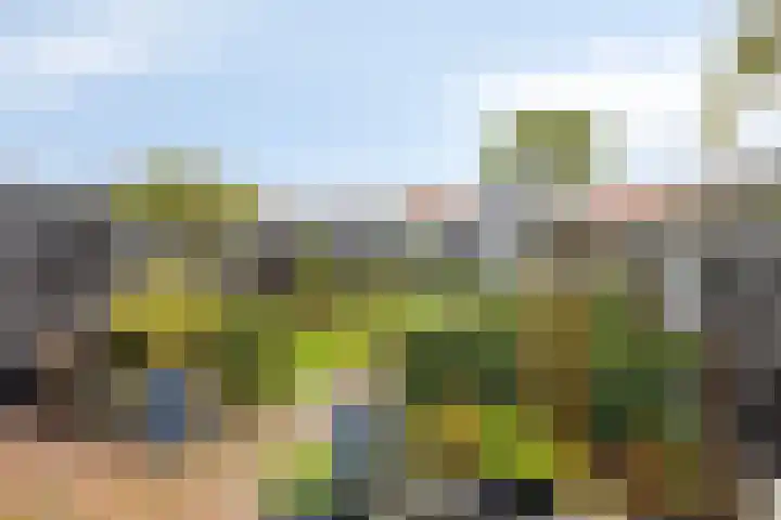 Oost-Krakeelstraat 4 Sommelsdijk thumbnail 4