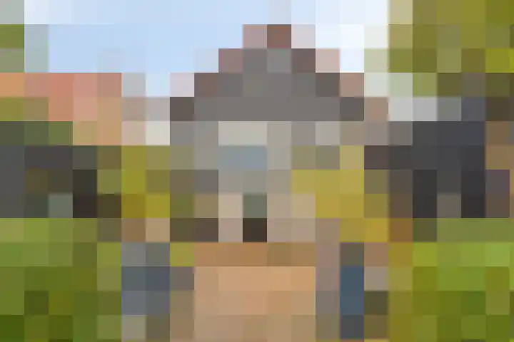 Oost-Krakeelstraat 4 Sommelsdijk thumbnail 5