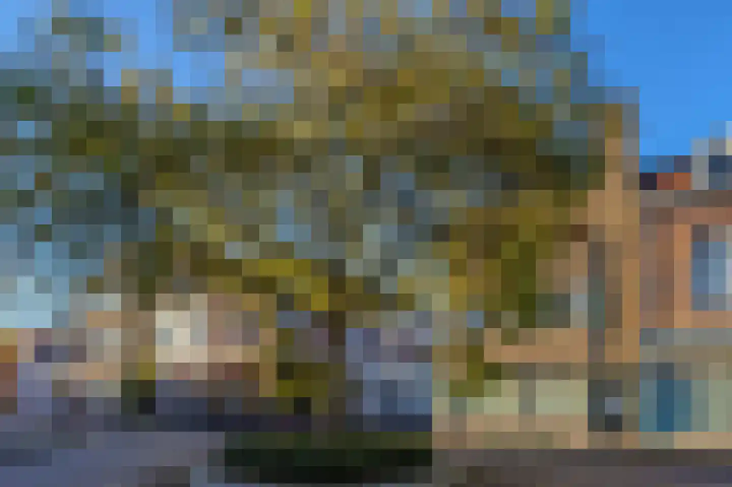 Oost-Peterstraat 7 Arnhem thumbnail 30