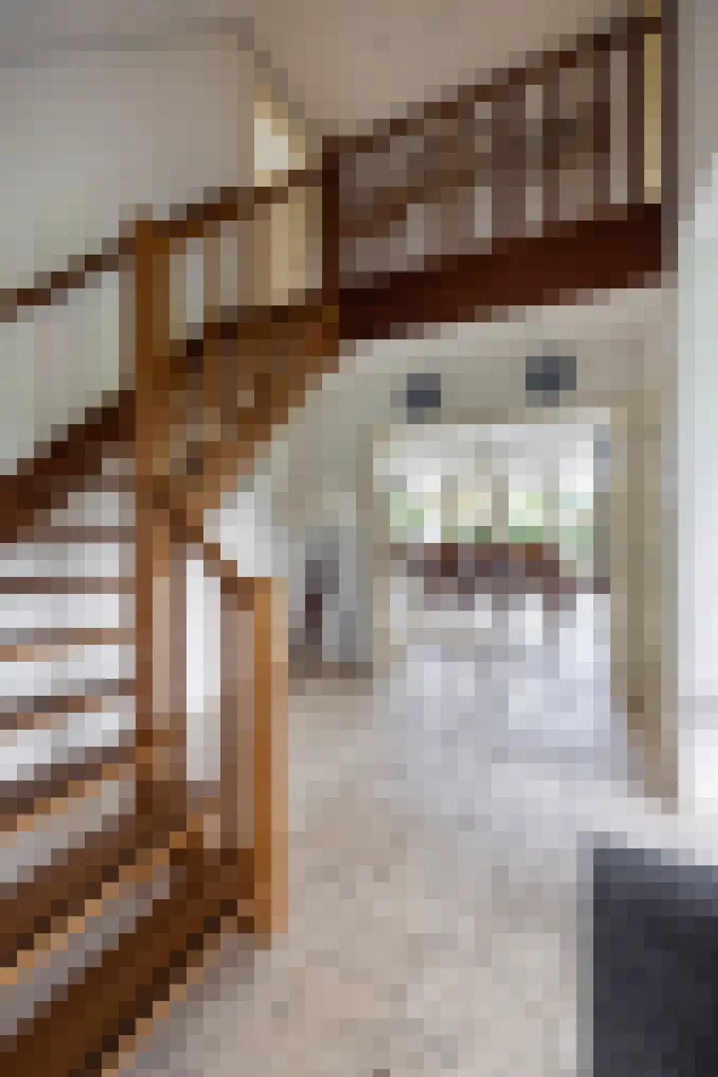 Oost Ravenweg 2 Epe thumbnail 13