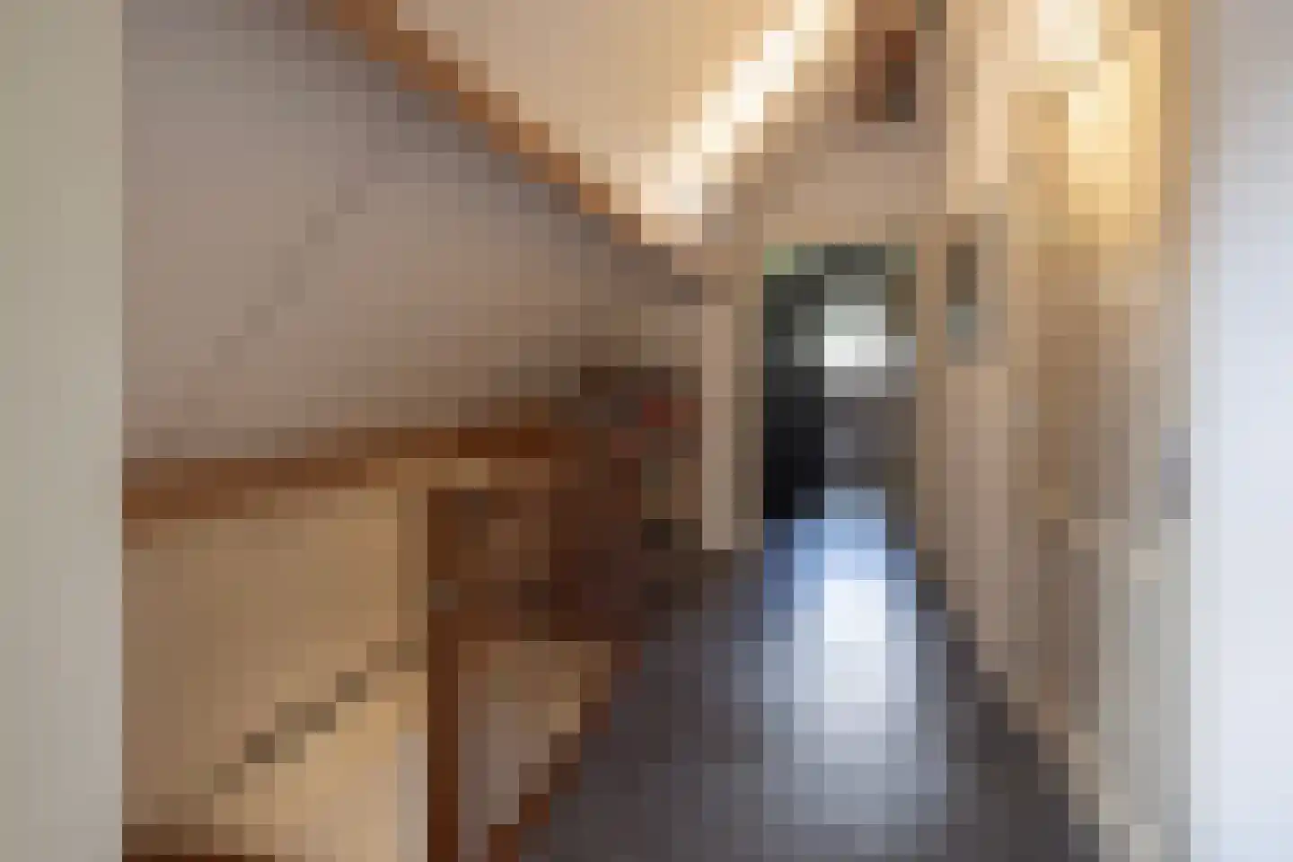Oost Ravenweg 2 Epe thumbnail 21