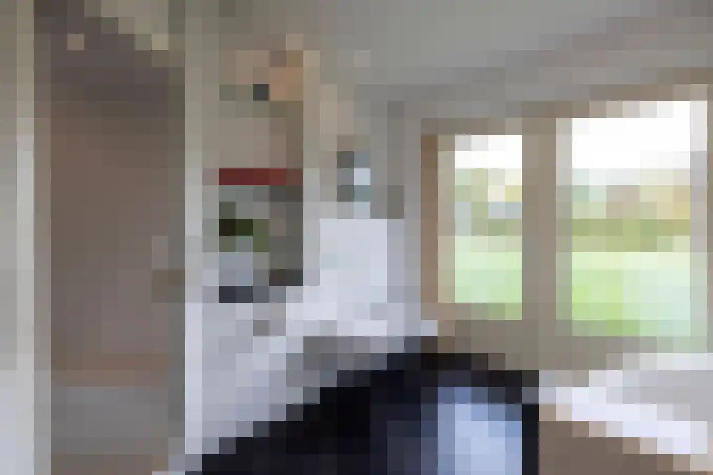 Oost Ravenweg 2 Epe thumbnail 26