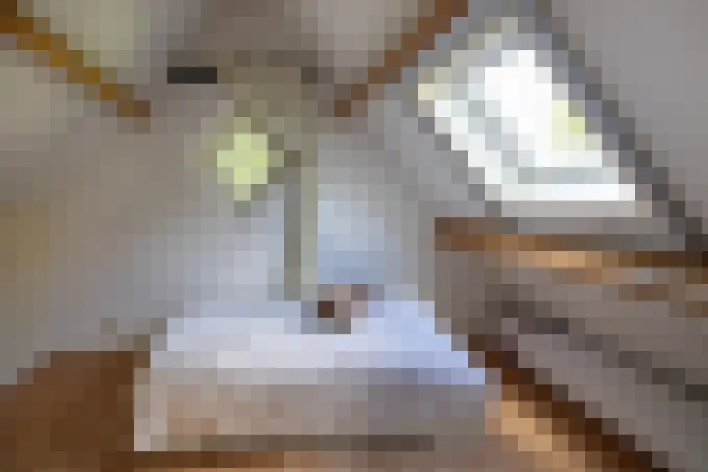 Oost Ravenweg 2 Epe thumbnail 37