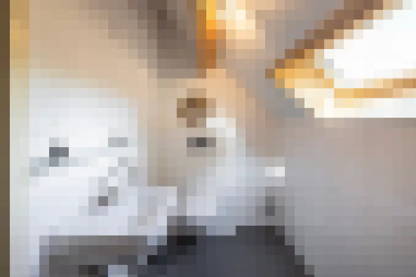 Oost Ravenweg 2 Epe thumbnail 38