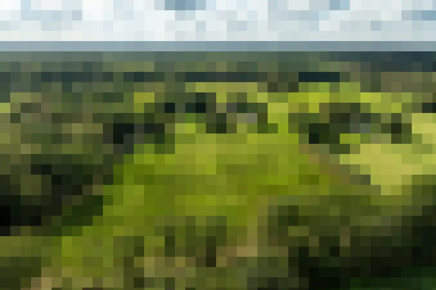 Oost Ravenweg 2 Epe thumbnail 4