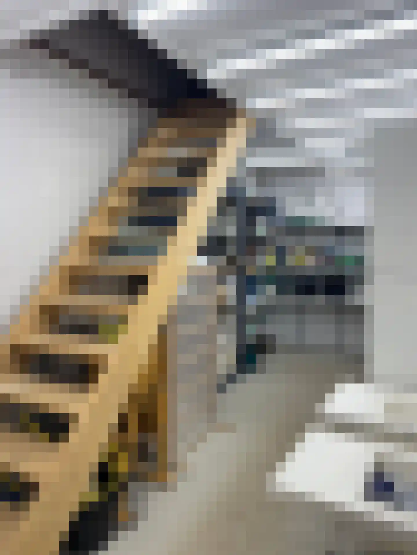 Oost Ravenweg 2 Epe thumbnail 51
