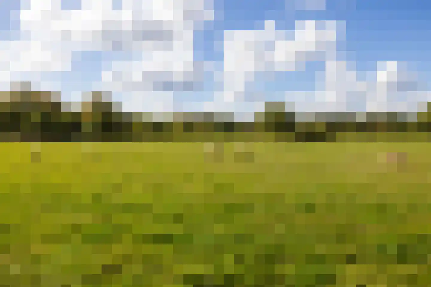 Oost Ravenweg 2 Epe thumbnail 68