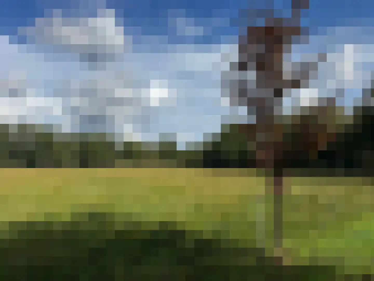 Oost Ravenweg 2 Epe thumbnail 69