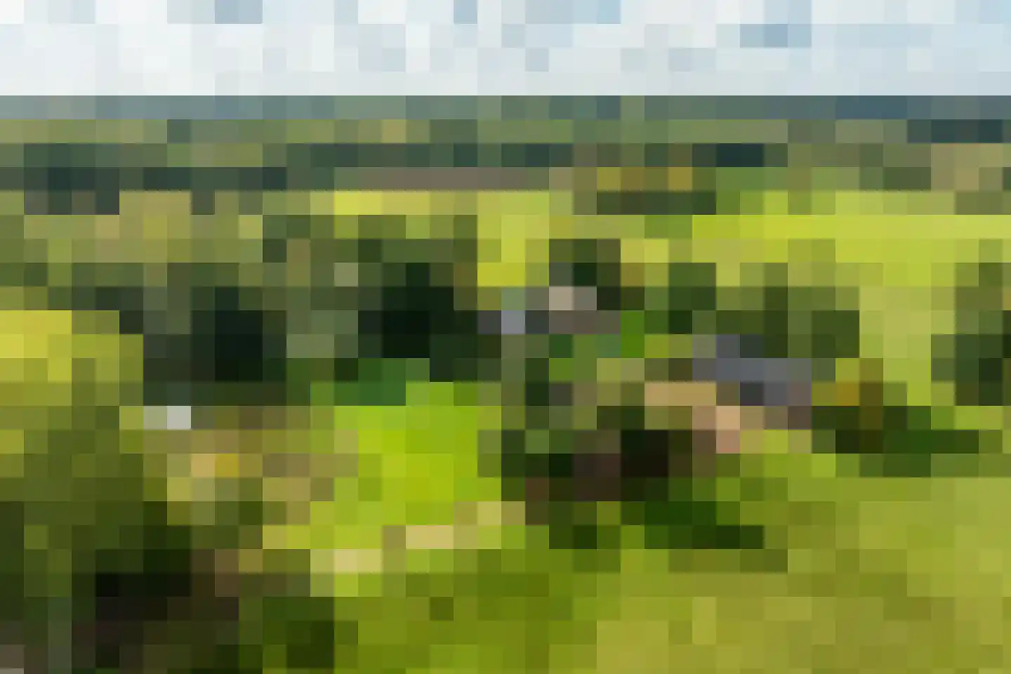 Oost Ravenweg 2 Epe thumbnail 71