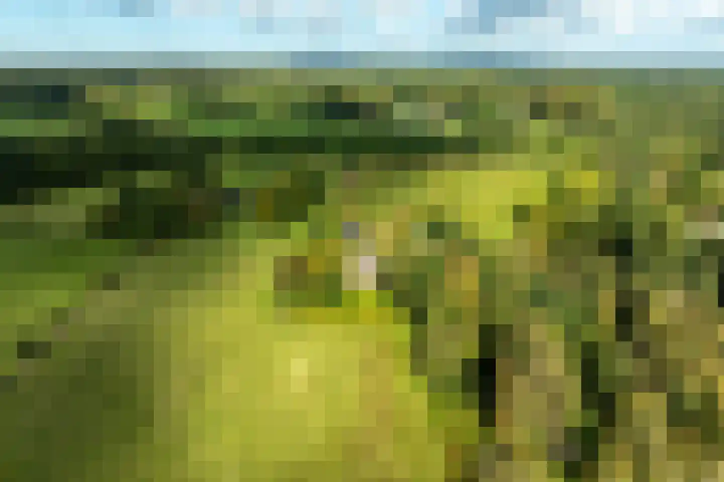 Oost Ravenweg 2 Epe thumbnail 72