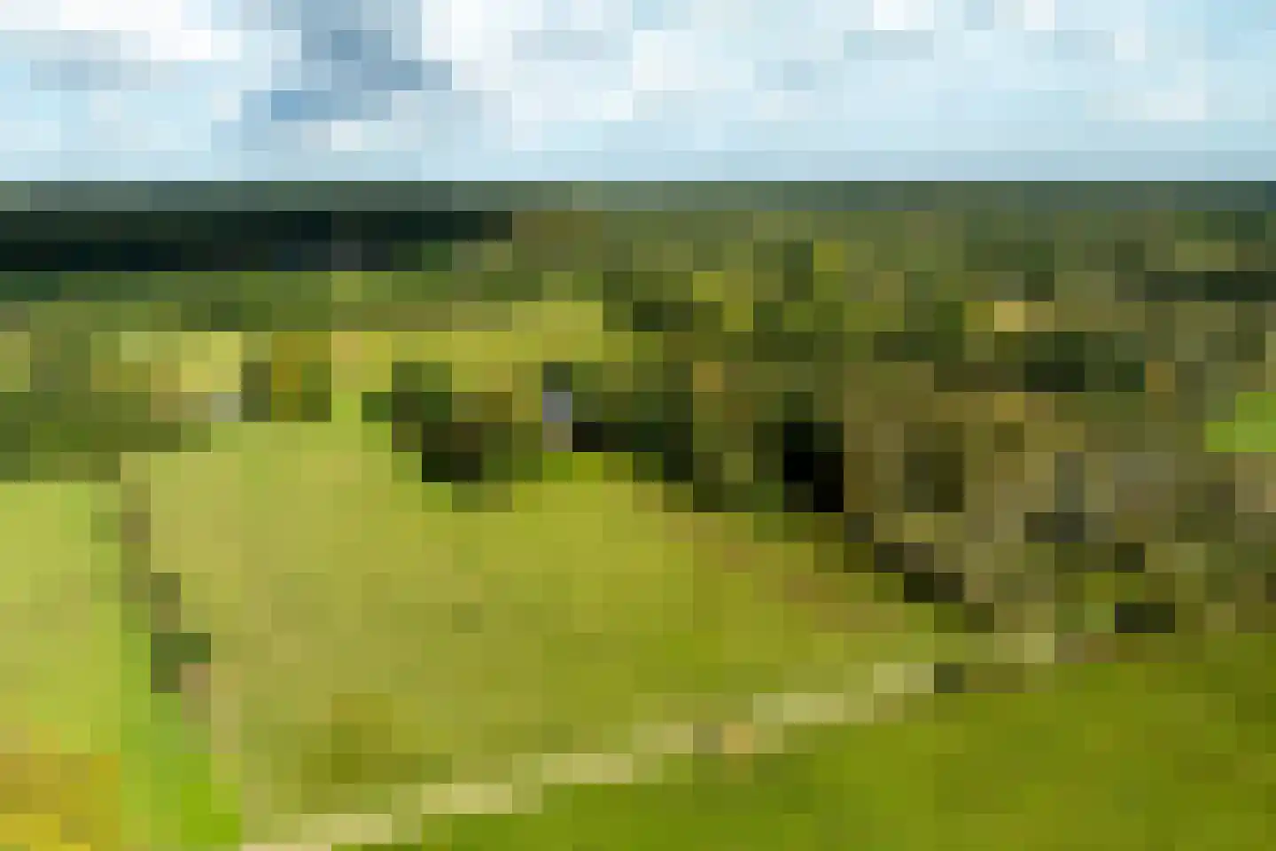 Oost Ravenweg 2 Epe thumbnail 73