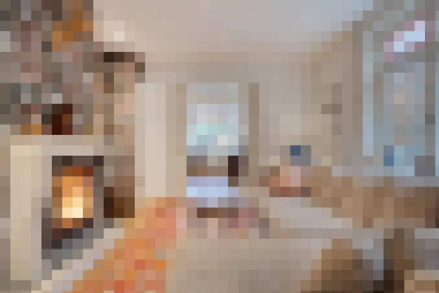 Oost Ravenweg 7 Epe thumbnail 14