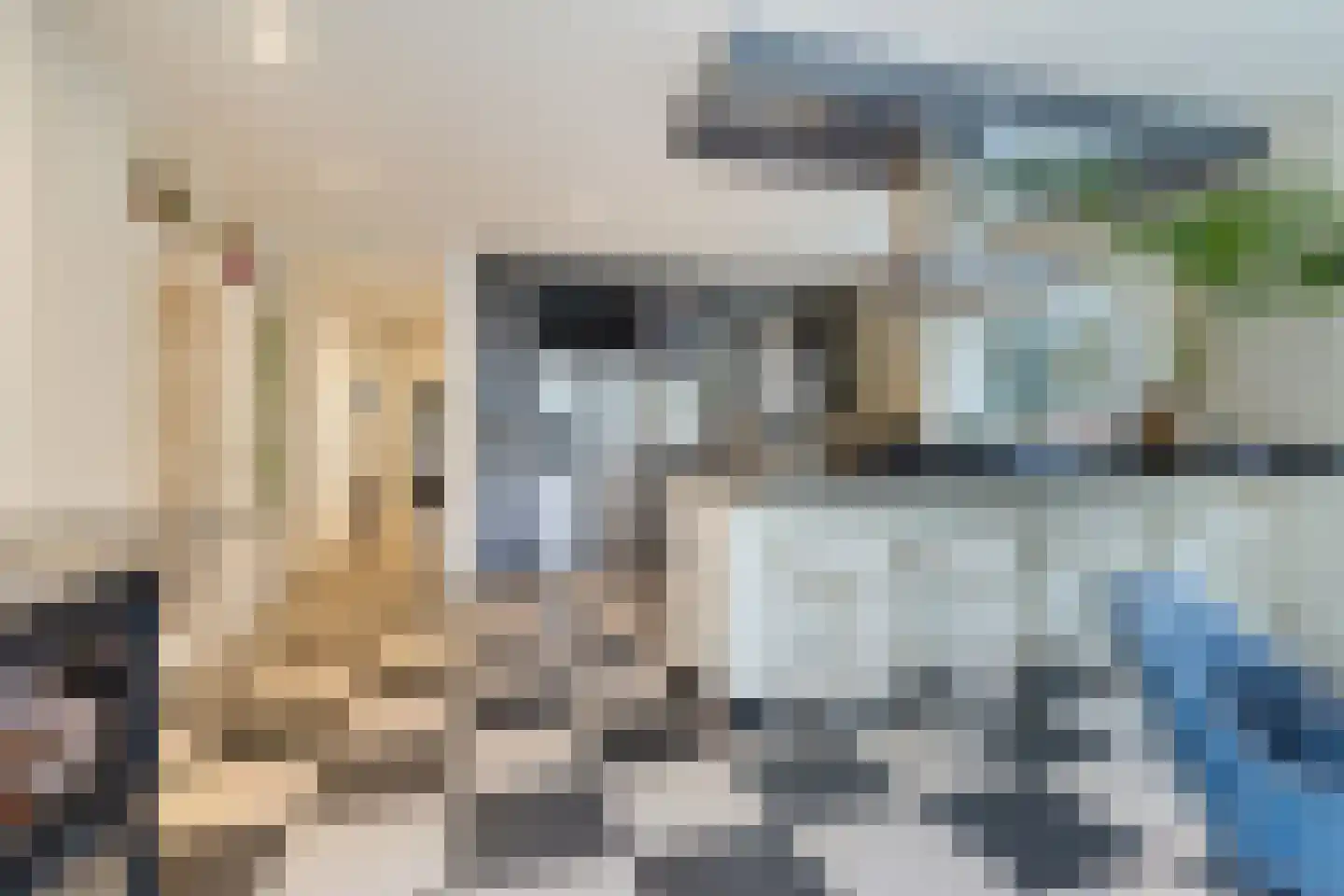 Oost Ravenweg 7 Epe thumbnail 24