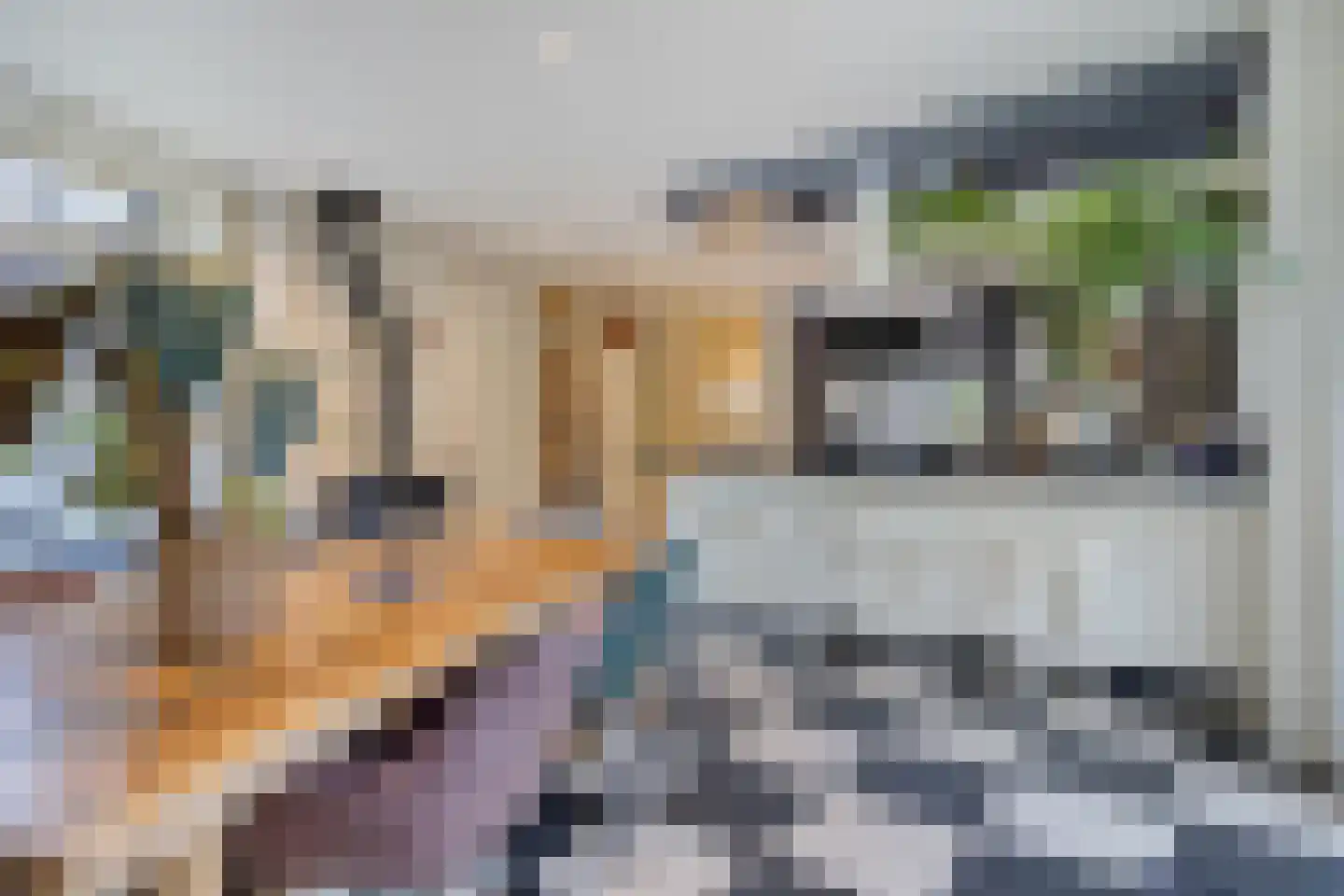 Oost Ravenweg 7 Epe thumbnail 25