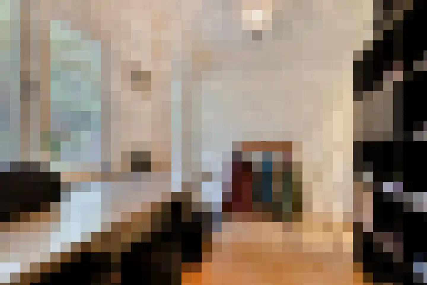 Oost Ravenweg 7 Epe thumbnail 32
