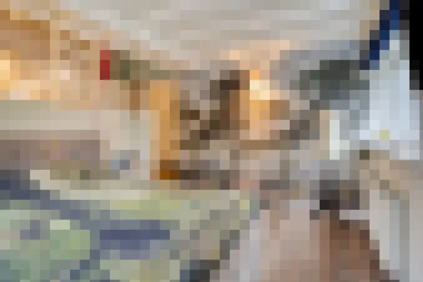 Oost Ravenweg 7 Epe thumbnail 37