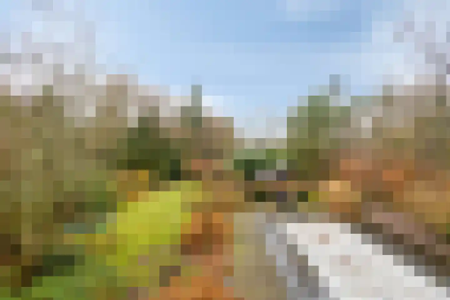 Oost Ravenweg 7 Epe thumbnail 39