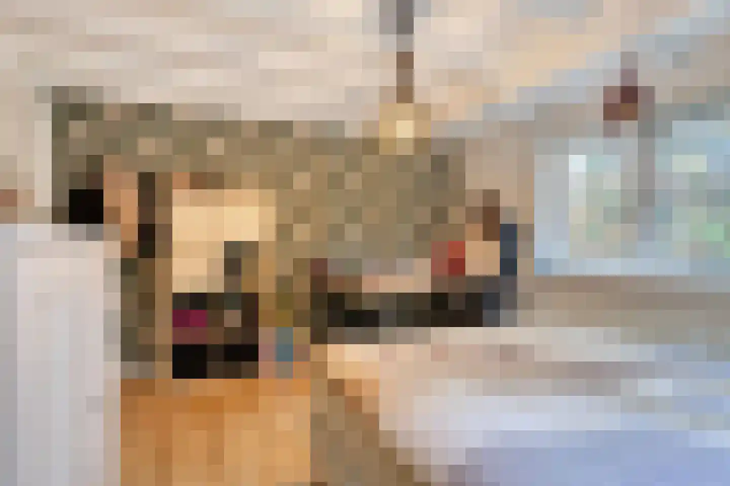Oost Ravenweg 7 Epe thumbnail 44