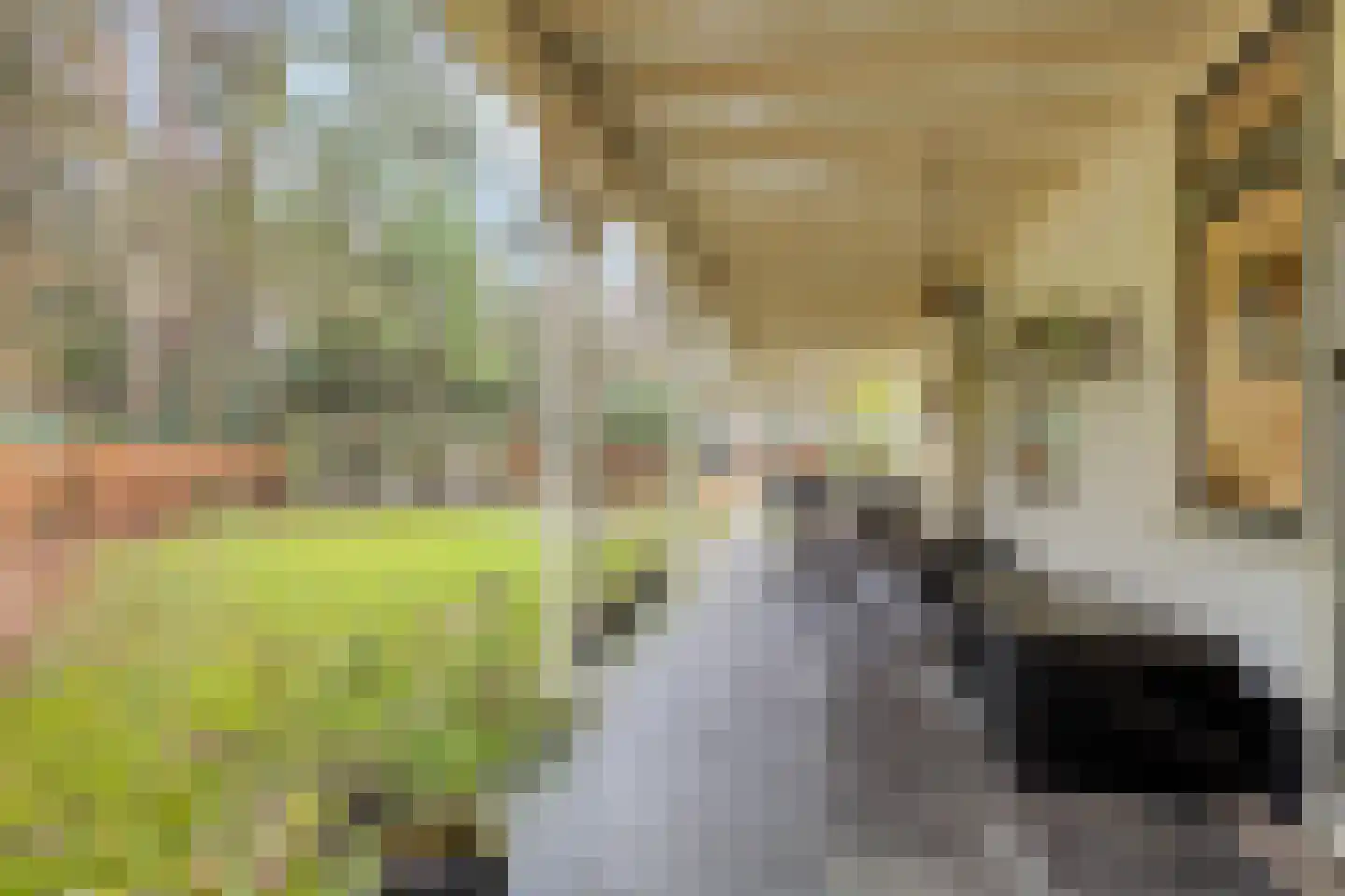 Oost Ravenweg 7 Epe thumbnail 59