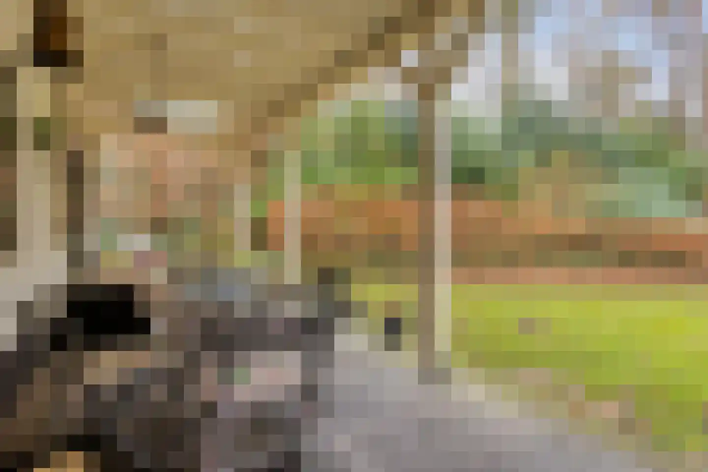 Oost Ravenweg 7 Epe thumbnail 61