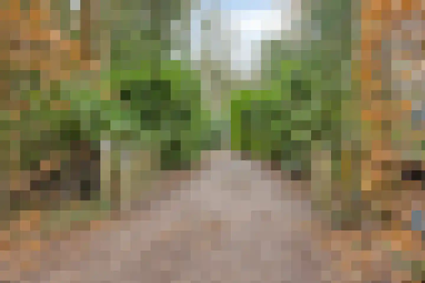 Oost Ravenweg 7 Epe thumbnail 7