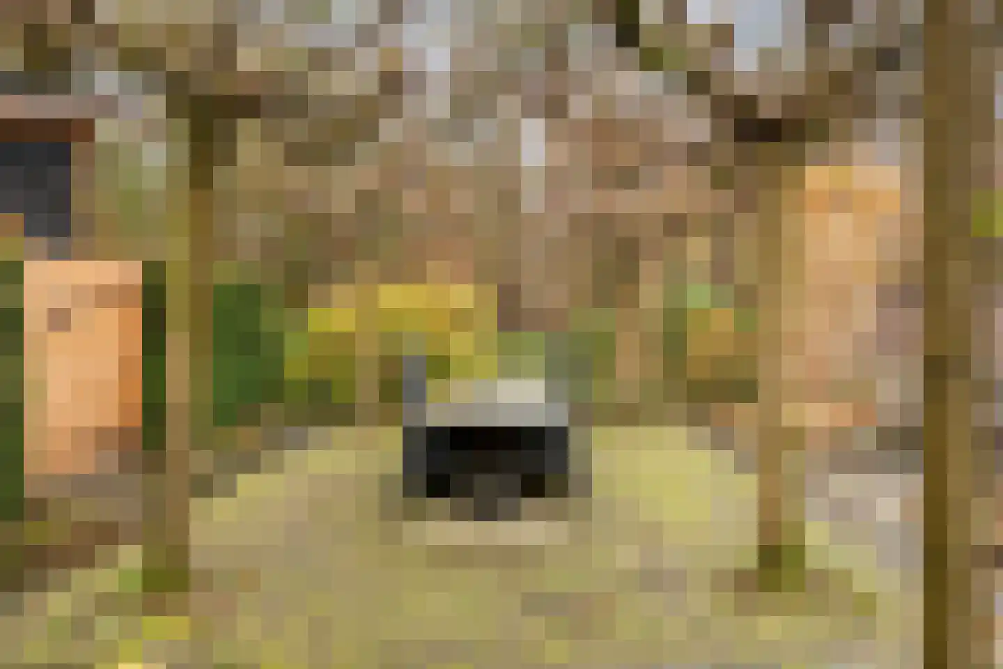 Oost Ravenweg 7 Epe thumbnail 73
