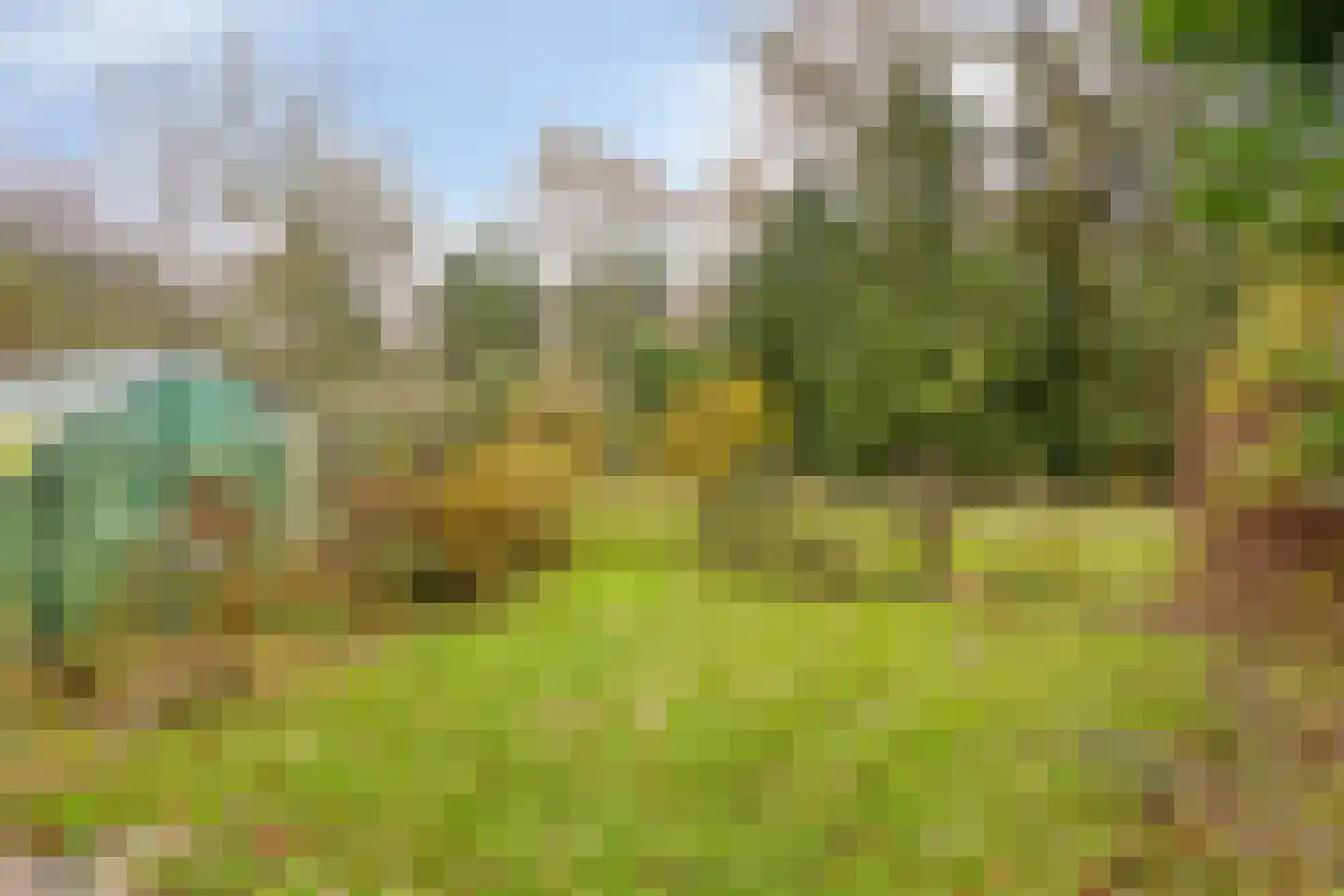 Oost Ravenweg 7 Epe thumbnail 75