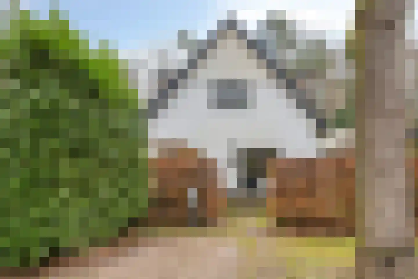 Oost Ravenweg 7 Epe thumbnail 77