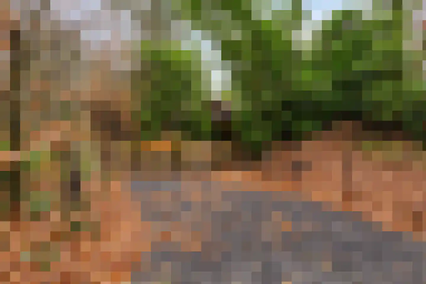 Oost Ravenweg 7 Epe thumbnail 78